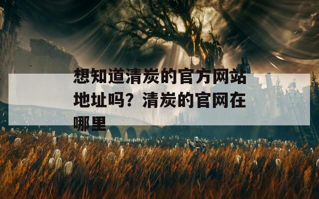 想知道清炭的官方網站地址嗎？清炭的官網在哪里