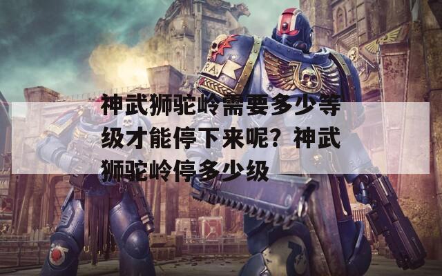 神武獅駝嶺需要多少等級才能停下來呢？神武獅駝嶺停多少級