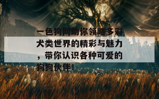 一色狗網(wǎng)助你領(lǐng)略多彩犬類世界的精彩與魅力，帶你認(rèn)識各種可愛的狗狗伙伴！