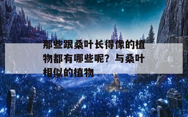 那些跟桑葉長(zhǎng)得像的植物都有哪些呢？與桑葉相似的植物