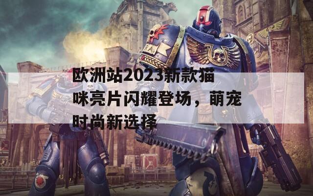 歐洲站2023新款貓咪亮片閃耀登場，萌寵時尚新選擇