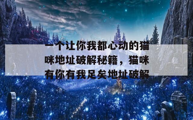 一個讓你我都心動的貓咪地址破解秘籍，貓咪有你有我足矣地址破解