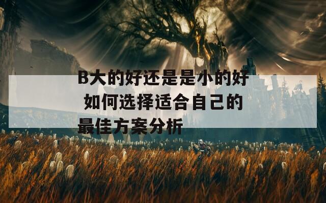 B大的好還是是小的好 如何選擇適合自己的最佳方案分析