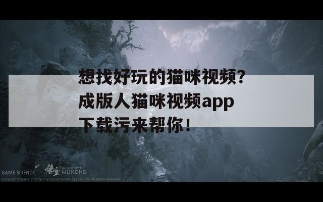 想找好玩的貓咪視頻？成版人貓咪視頻app下載污來幫你！