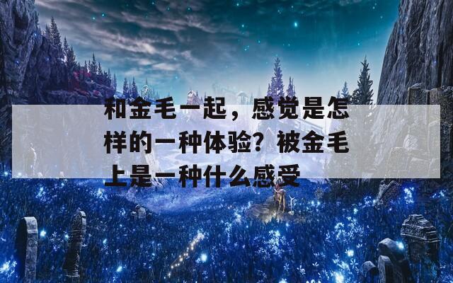 和金毛一起，感覺是怎樣的一種體驗(yàn)？被金毛上是一種什么感受