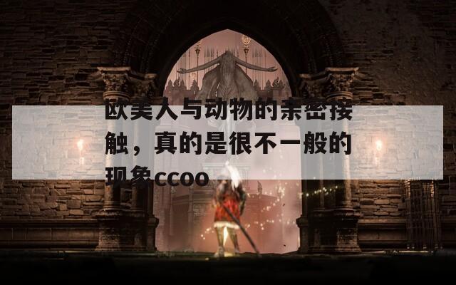 歐美人與動(dòng)物的親密接觸，真的是很不一般的現(xiàn)象ccoo