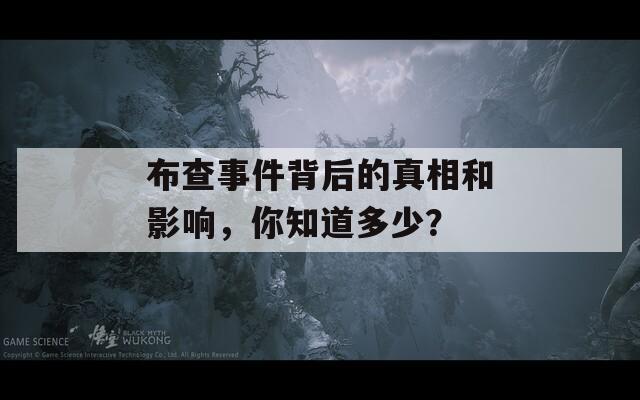 布查事件背后的真相和影響，你知道多少？