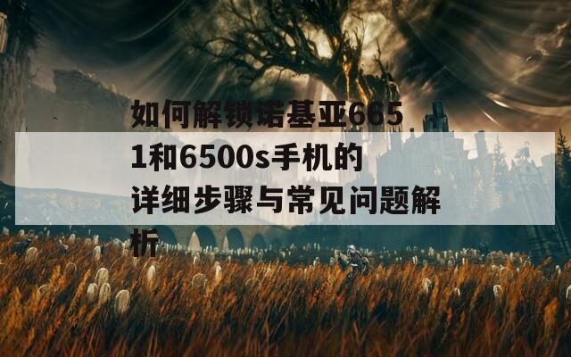 如何解鎖諾基亞6651和6500s手機(jī)的詳細(xì)步驟與常見(jiàn)問(wèn)題解析