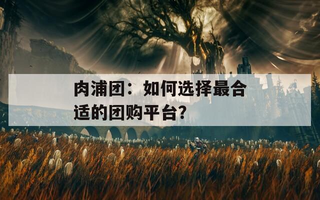 肉浦團：如何選擇最合適的團購平臺？